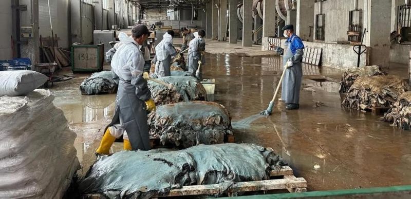 Инвестор из Ирана реанимировал казахстанскую кожевенную компанию 