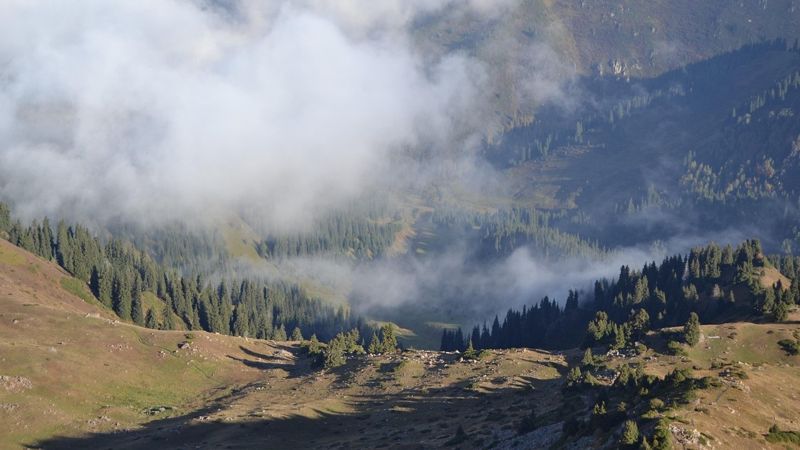 Лес в КАзахстане в горах, облако в ущелье, туризм в Казахстане, походы в горы