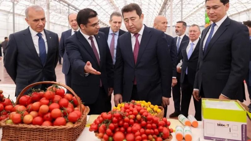 Обложка: Турция открыла в Казахстане тепличный комплекс за $650 млн