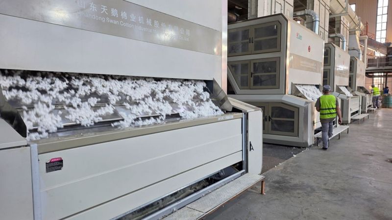 Станок для производства хлопка, хлопок, кластер