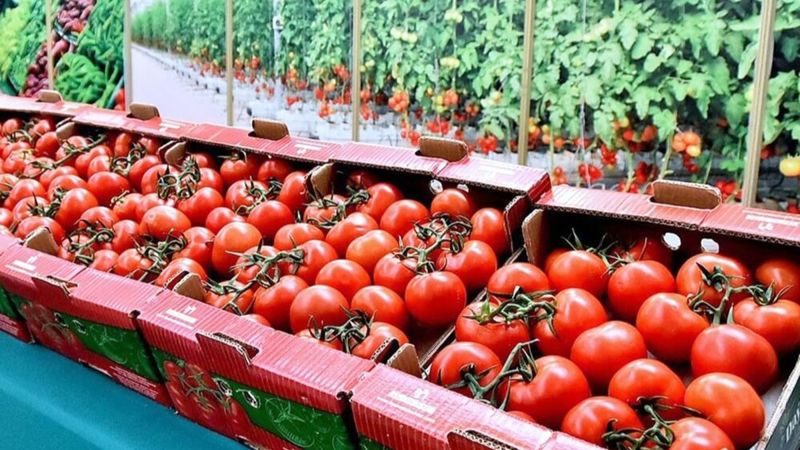 Помидоры в ящиках; цены на овощи, подорожание продуктов