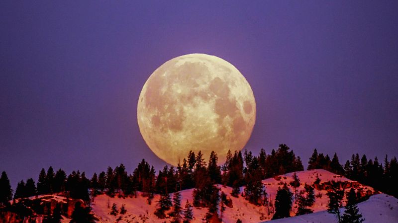 Полная луна в ночном небе над горизонтом