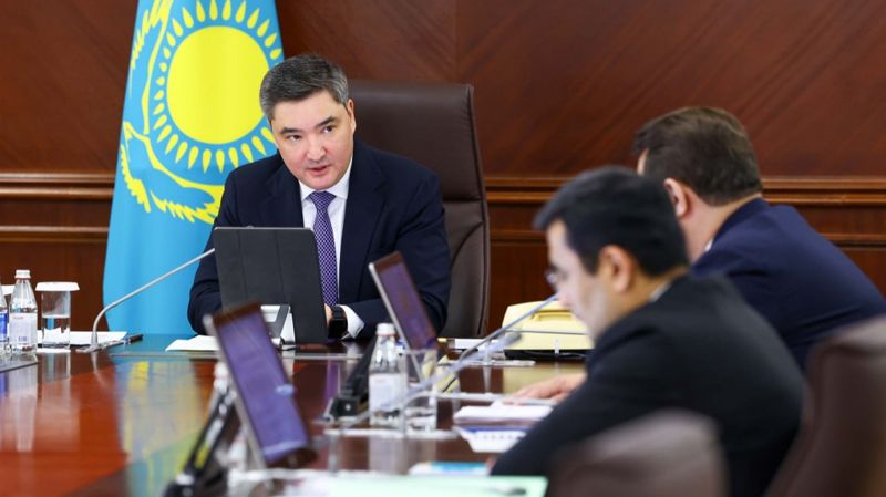 Обложка: Казахстан хочет увеличить поголовье скота до 40 млн голов и удвоить экспорт мяса