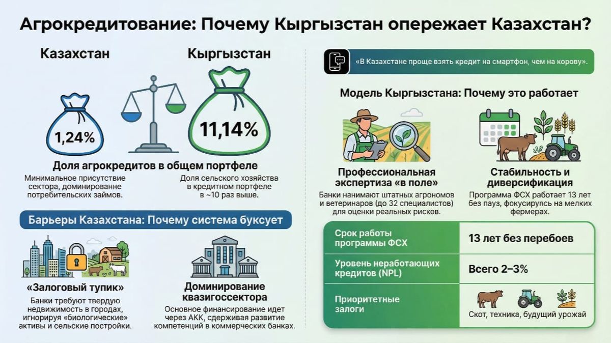 Инфографика - сравнение агрокредитования Казахстана и Кыргызстана