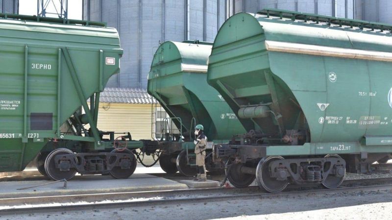 вагоны с зерном, экспорт и перевозка зерна, пшеницы
