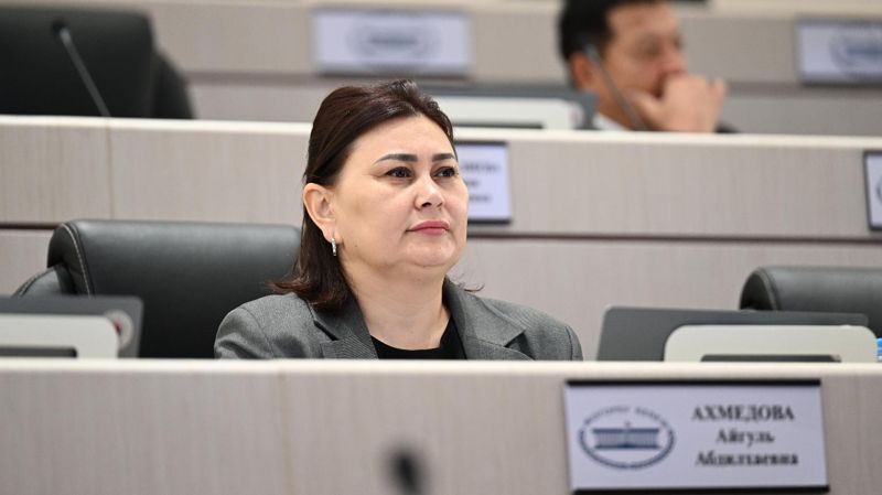 Депутат Айгуль Ахмедова просит вернуть визаран. 