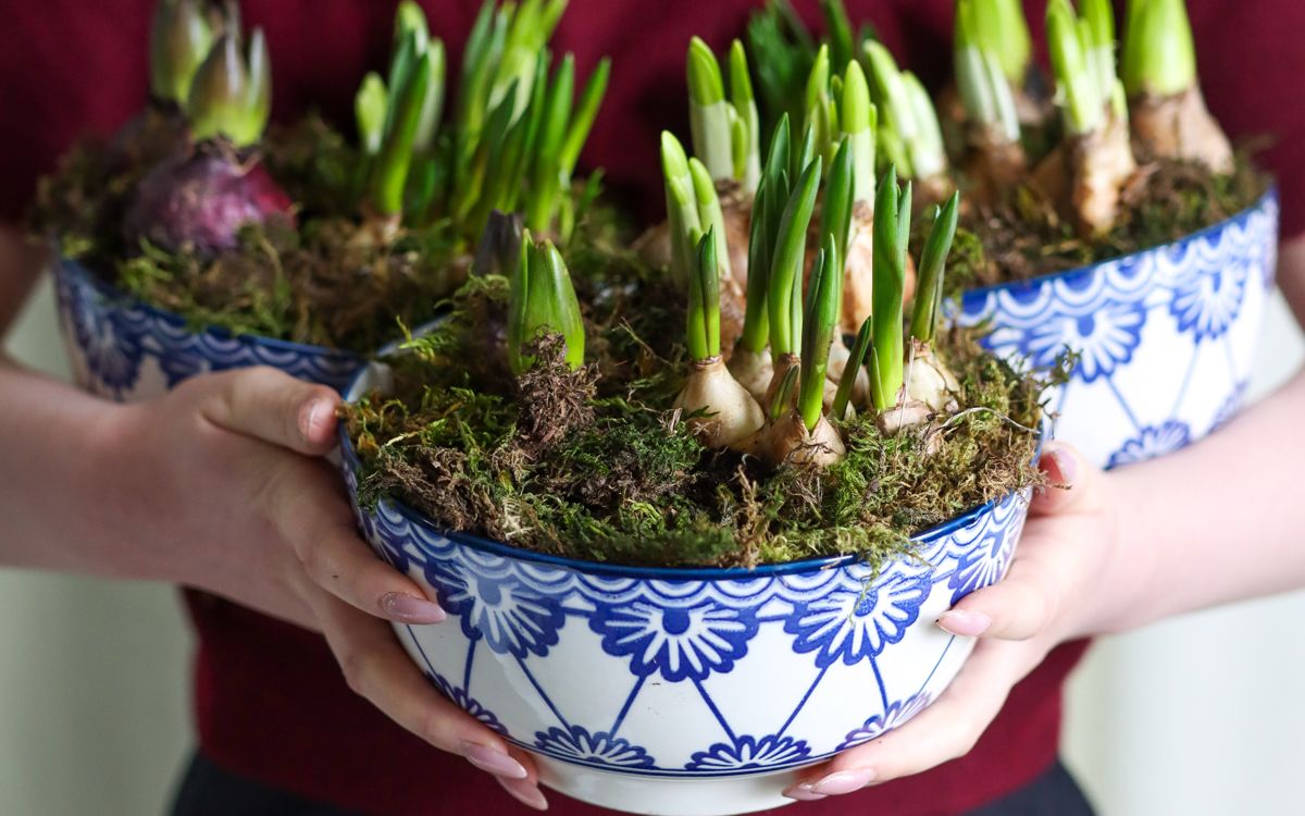 Цветы, 8 Марта, рынок цветов