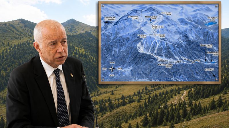 Коллаж с горами и Жоаном Виладоматом 