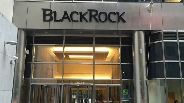 BlackRock, инвестиции